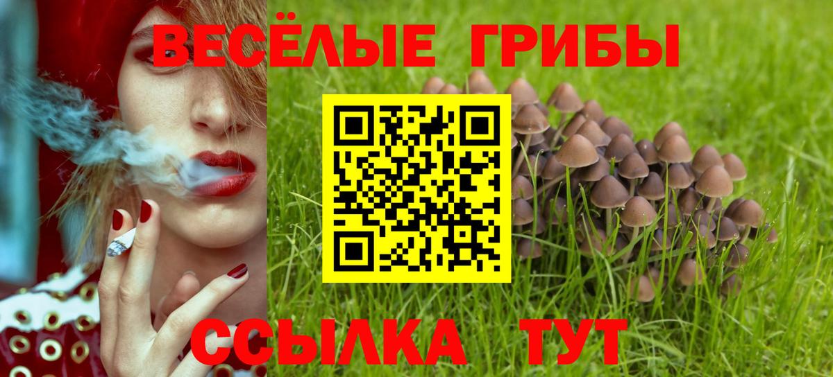 Псилоцибиновые грибы ЛСД Тихорецк