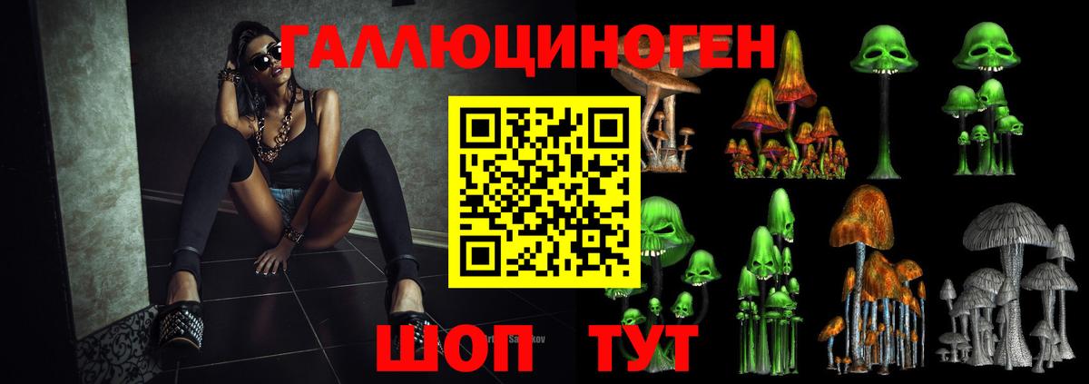Галлюциногенные грибы Psilocybe  Вход с VPN  Тихорецк 